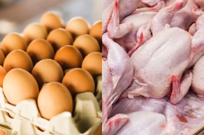 Harga Pangan Kamis 13 Juli : Daging Ayam dan Telur Naik