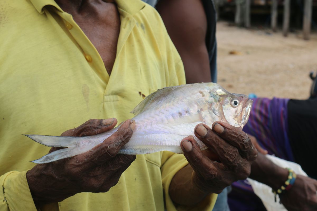 Lumbung Ikan Terjerat Tambang